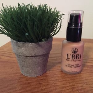 L'BRI Perfect Finish Oil- Free Foundation